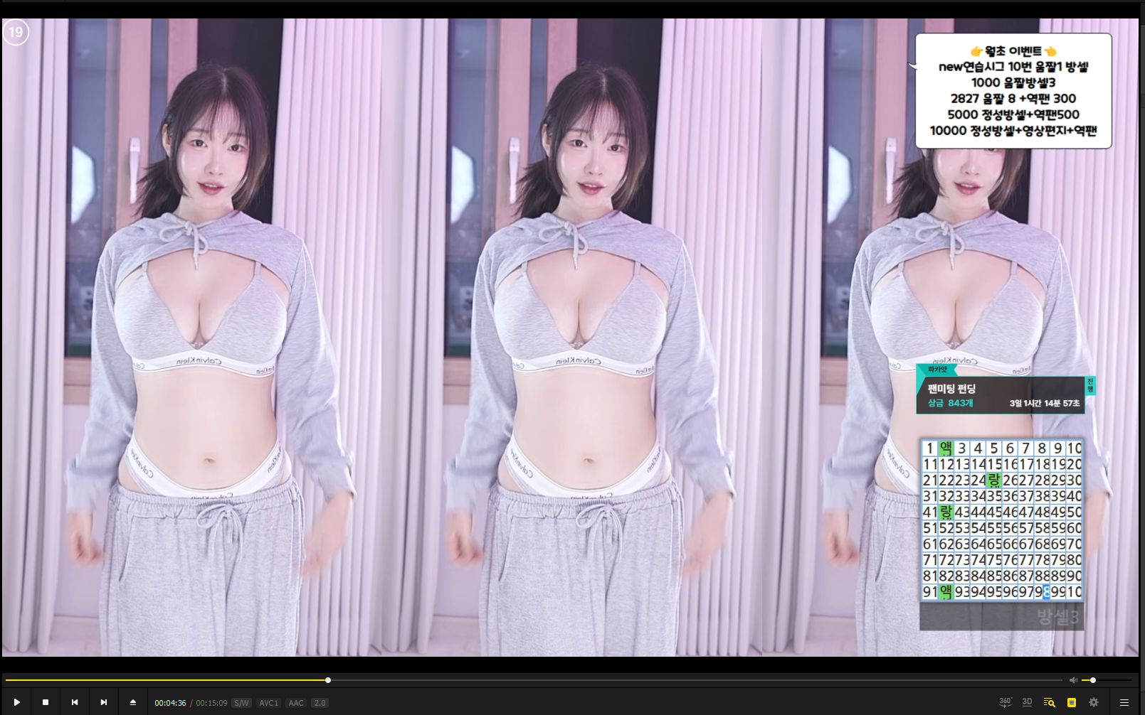 1004ysus